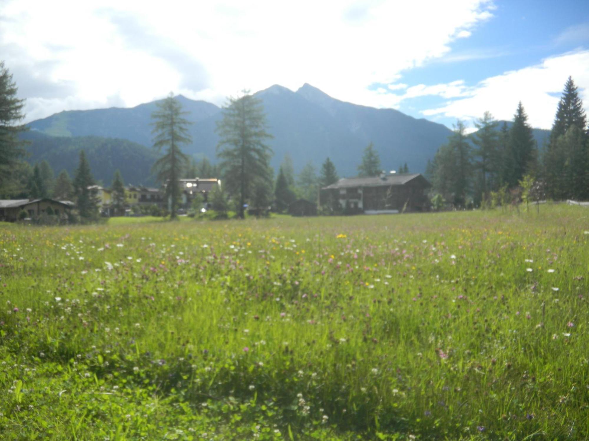 Landhaus Charlotte Am Geigenbuehel -Apartments Seefeld in Tirol Extérieur photo